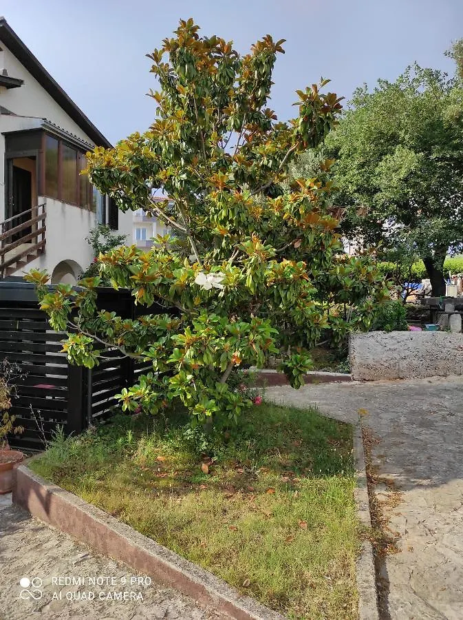 Guesthouse Suzy Pula